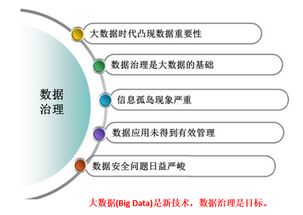 數(shù)據(jù)治理標(biāo)準(zhǔn)與服務(wù) 為政府?dāng)?shù)據(jù)做一次系統(tǒng)性‘體檢’